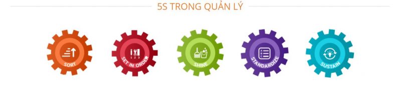 5s-trong-quan-ly